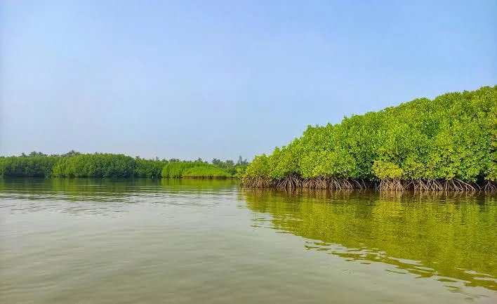 সুন্দরবন ঘিরে পর্যটন: সংরক্ষণ, জীবিকা ও উন্নয়নের সমন্বিত পথ: